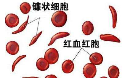 人體亚洲夜色撩人国产AV廠家介紹檢測微量元素的儀器